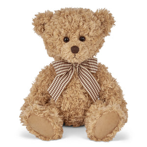 THEODORE THE TEDDY BEAR
