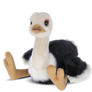 OLLIE THE OSTRICH