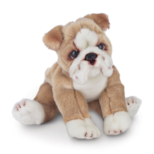 TUG THE BULLDOG DOG