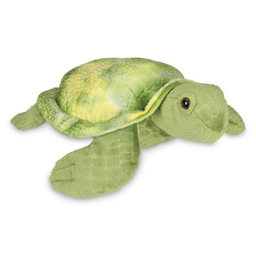 SHELTON THE SEA TURTLE
