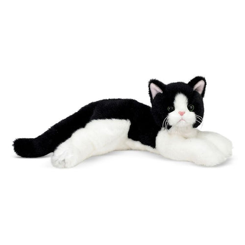 DOMINO THE BLACK & WHITE CAT