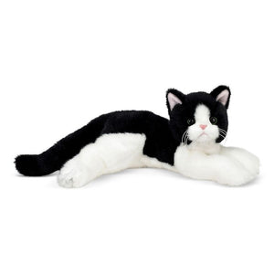 DOMINO THE BLACK & WHITE CAT