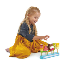 TENDER LEAF TOYS- ICE LOLLY SHOP