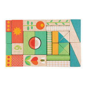 TENDER LEAF TOYS- BABY BLOCK WALKER