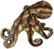 TEXAS TOY DISTRIBUTION- 10" OCTOPUS AQUATIC OCEAN PLUSH
