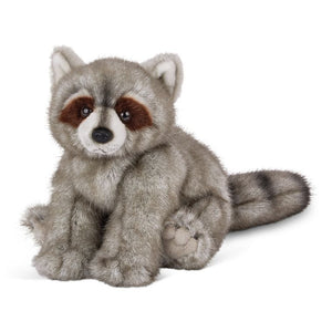 ROCKO THE RACCOON