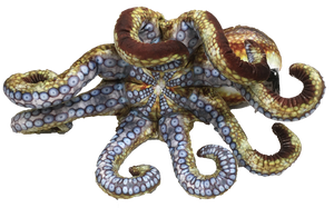 TEXAS TOY DISTRIBUTION- 10" OCTOPUS AQUATIC OCEAN PLUSH