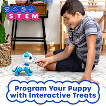 USA TOYZ- INTERACTIVE ROBO PET - DOG