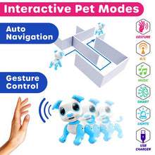 USA TOYZ- INTERACTIVE ROBO PET - DOG