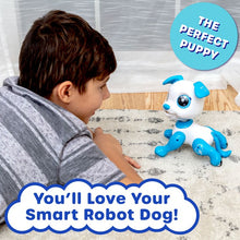 USA TOYZ- INTERACTIVE ROBO PET - DOG