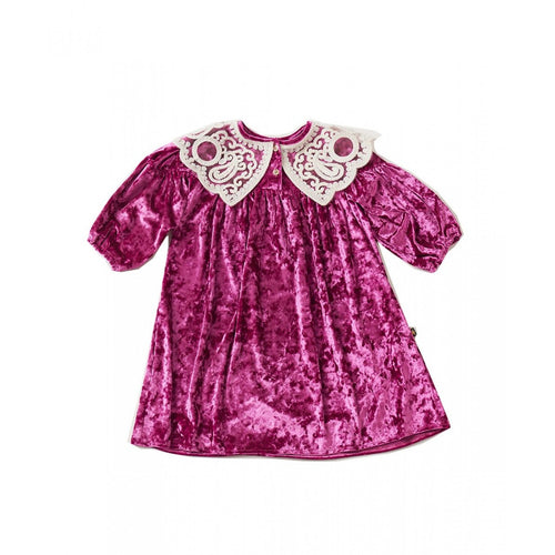 PETITE HAILEY-LACE COLLAR DRESS IN PURPLE